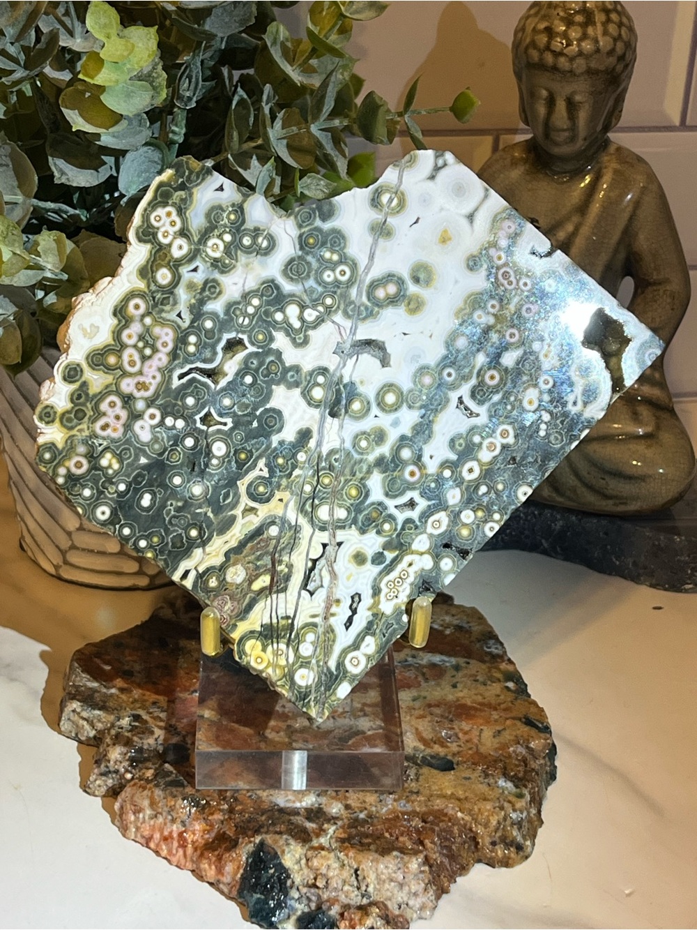 7th Vein Ocean Jasper Slab